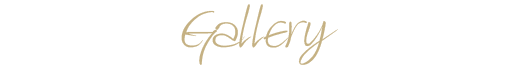 Gallery Logo-01 Gallery Logo-01